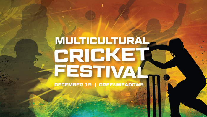 Multicultural Cricket Festival