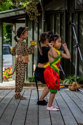 Tasman Asian Night Food Fair (TANFF) 2021, TANFF-Chinese-performance.jpg